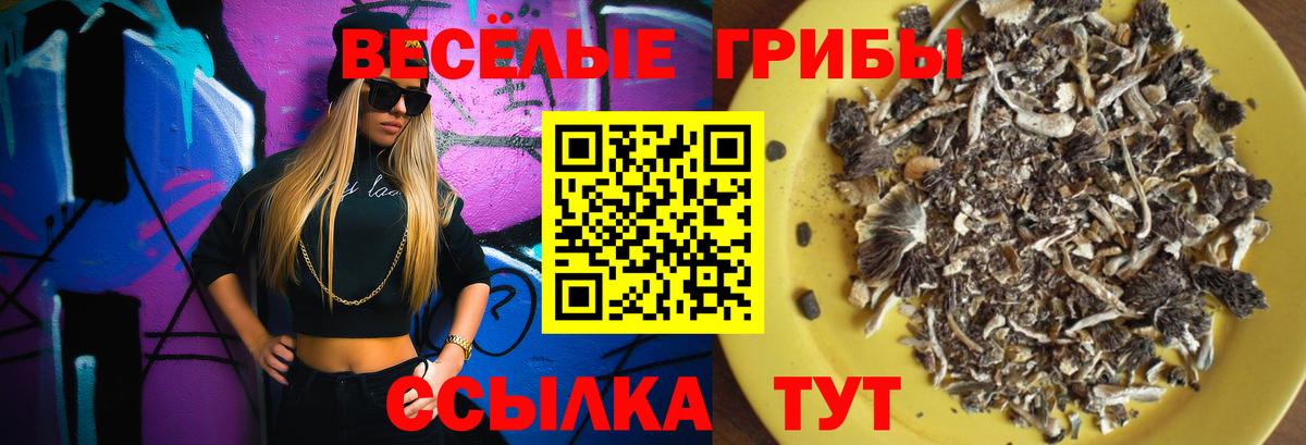 Псилоцибиновые грибы ЛСД Химки